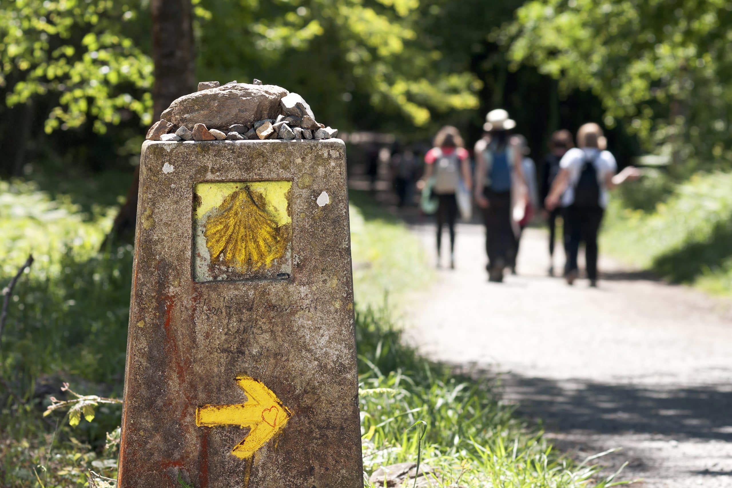 camino de santiago en grupo desde sarria