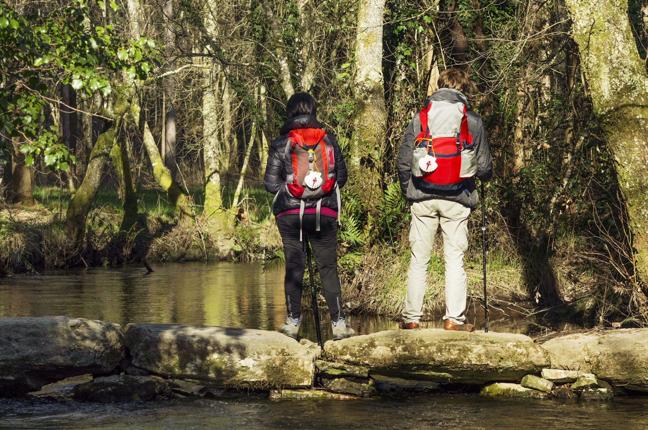Camino de santiago desde Sarria