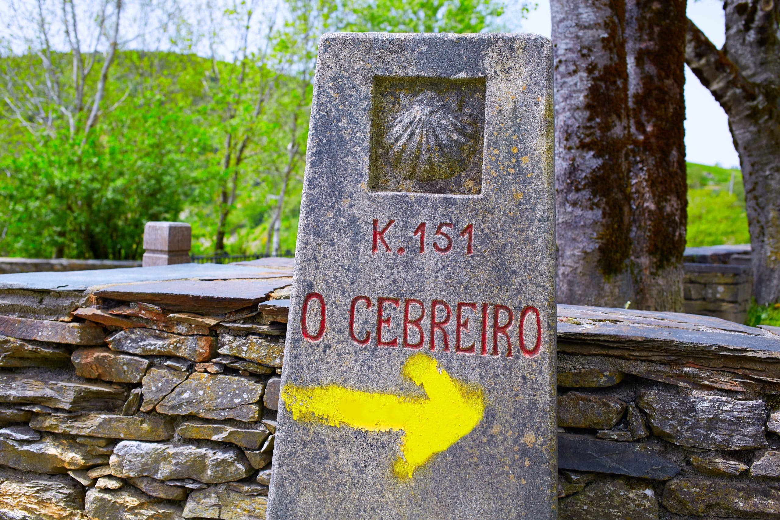 flecha amarilla o cebreiro