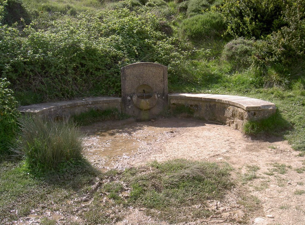 Fuente-de-reniega
