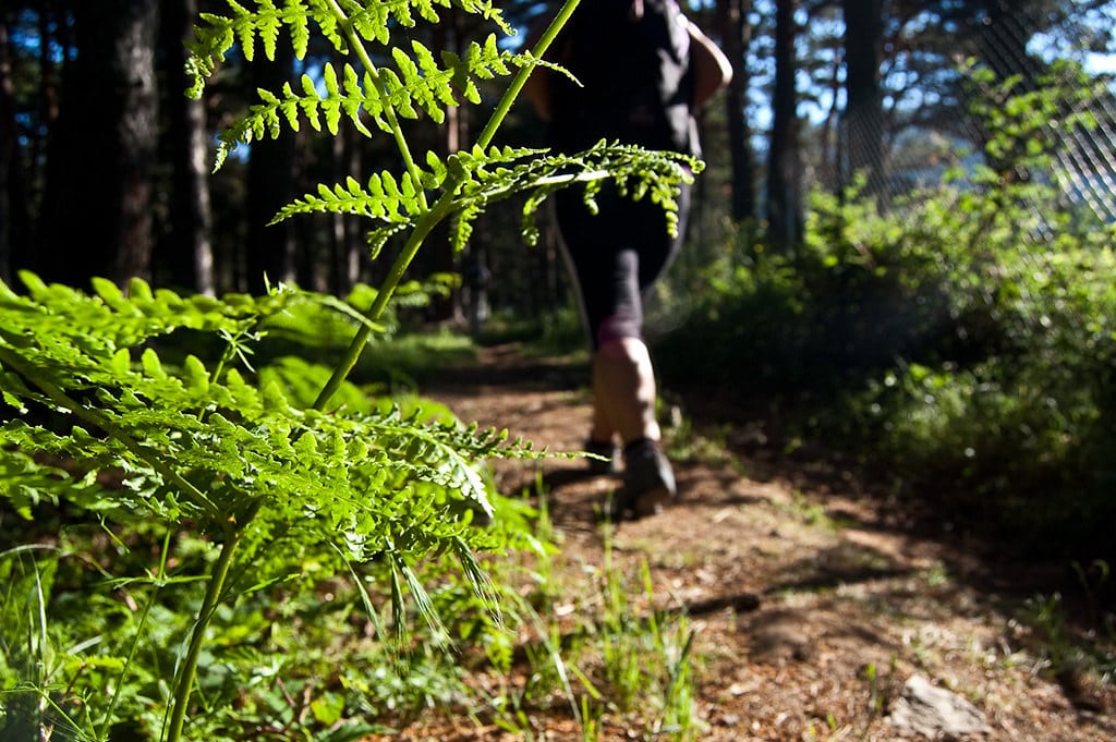 Viaje al Camino De Santiago en Semana Santa